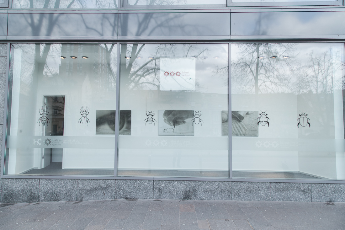 Since 2016 the Liszt Institute Ljubljana, previously named Balassi Institute Ljubljana, a Hungarian Cultural Center is located at Villa Urbana on Barvarska Street in the Ljubljana centre.