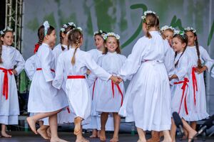 Meeting of children's folklore groups of Bela Krajina, <!--LINK'" 0:359--> 2022. Author: Jani Pavlin