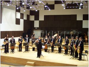 <!--LINK'" 0:1213--> performing at the Belgrade Philharmonic Concert Hall, 2007