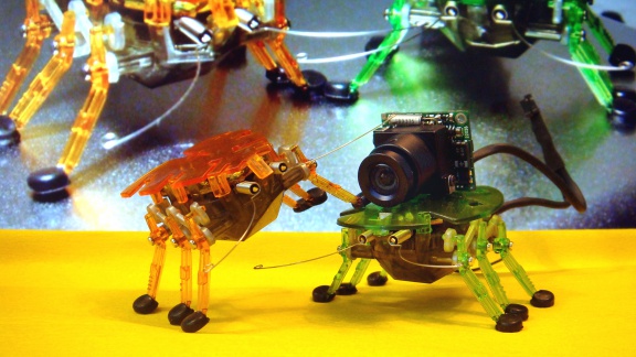 Ballettikka Internettikka Insecttikka by Intima Virtual Base, Hamburg, 2010