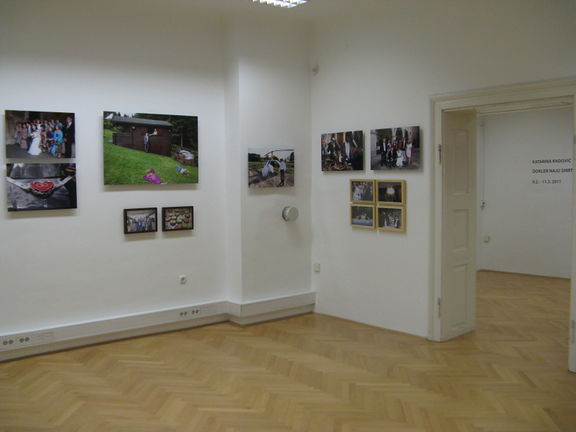 Until Death Do Us part, a view of the exhibition by Katarina Radovič, Photon Gallery, 2011