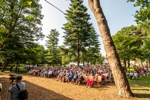 The audiences in Beltinci park, where the International Folklore Festival takes place each year, 23 July 2023, photo by Boštjan Rous.