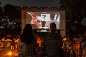Screening at <i>Arrigoni</i> open-air cinema, 16th <!--LINK'" 0:865-->, 2020.