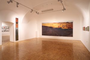Private art collection <i>Okolje Consulting</i> displayed at the <!--LINK'" 0:885-->, 2010