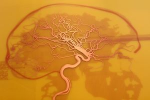 <i>PCB</i>, Lightbox with circuit board, <!--LINK'" 0:28-->, 2010