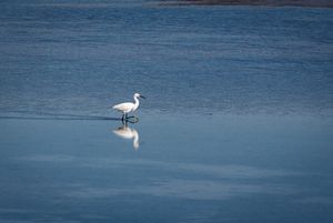 Sečovlje Regional Park, 2020.