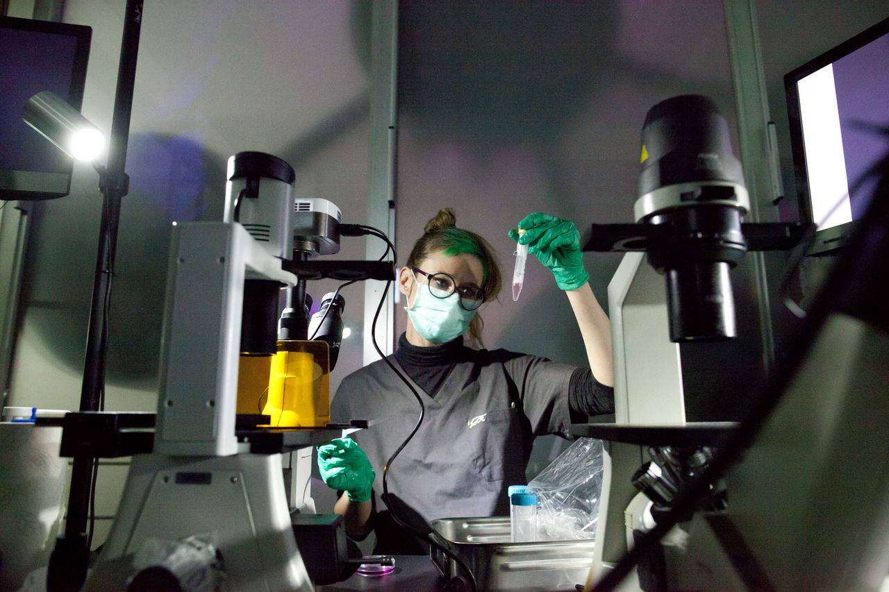 File:BioTehna 2017 Strange Encounters.jpg