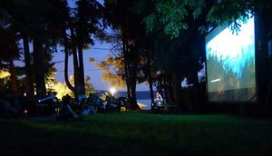 Screening of the <i>Video on the Beach</i> section, <!--LINK'" 0:856--> 2014.