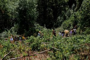 Summer school of the <!--LINK'" 0:569-->, a collective learning experience in the village of Topolò (summer 2022). Smell and taste exploration of abandoned orchards, fields and forest, guided by the Austrian designer <!--LINK'" 0:570-->.