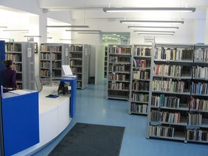 <!--LINK'" 0:32--> has a collection of over 110,000 library items, 40 % of which are aimed at young people