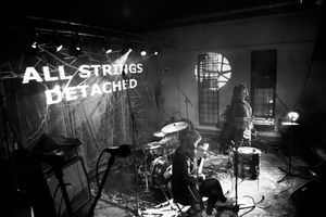 <!--LINK'" 0:352--> performing at <!--LINK'" 0:353-->, <!--LINK'" 0:354-->, 2016.
