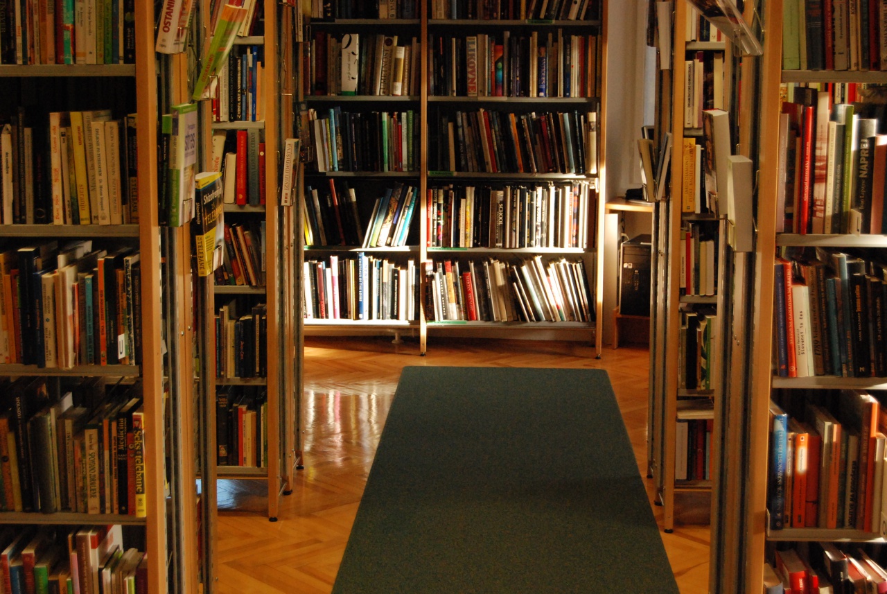 File:Lasko Public Library 2012.JPG