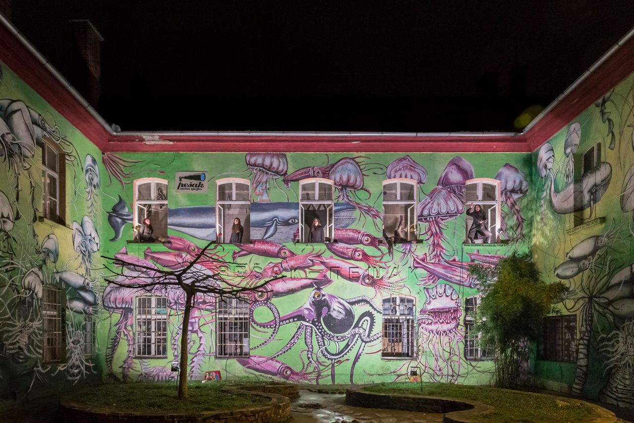 Night Window Display Pešak 2016 Baabure exhibition at Metelkova 02.jpg