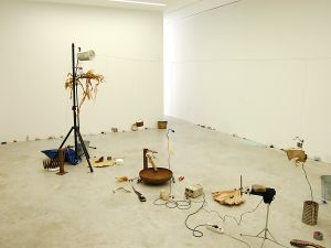 Rie Nakajima & Pierre Berthet at <!--LINK'" 0:1018-->, <!--LINK'" 0:1019-->, 2016