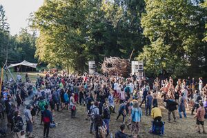 Crowd dancing at Hallucinatorium stage, Drops Festival 2021