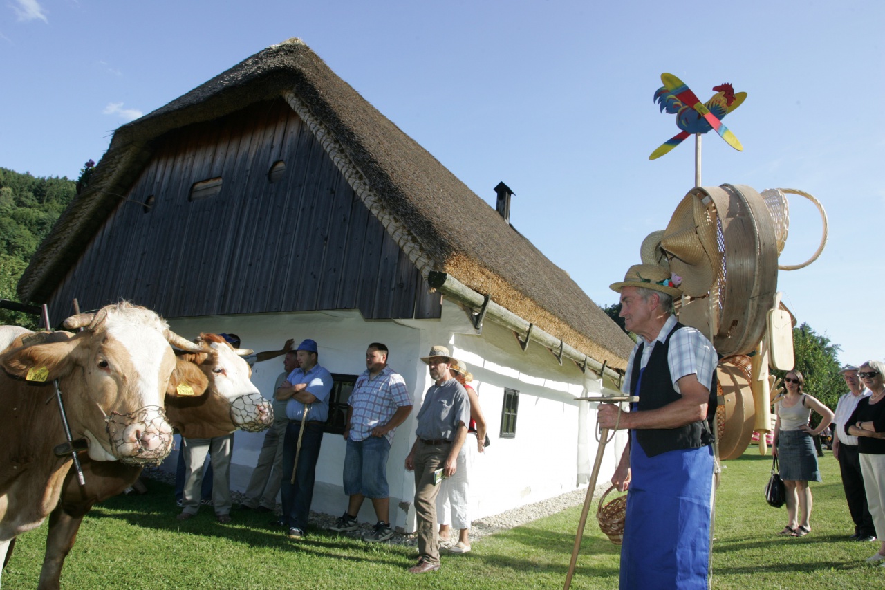 File:Photo Edi Einspieler (52).jpg