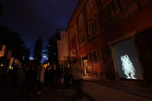 <i>Fragments of the World</i>, video installations showing animals captured in the urban world created by men, <!--LINK'" 0:1359--> by Bertrand Gadenne, <!--LINK'" 0:1360-->, 2013