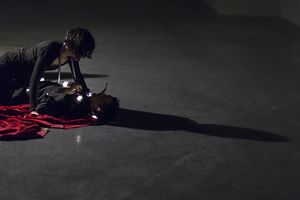 <!--LINK'" 0:567--> and <!--LINK'" 0:568--> in <i>Desire Caught by the Tail</i>, directed by <!--LINK'" 0:569--> and staged at the <!--LINK'" 0:570-->, 2014. A play written by Pablo Picasso in 1941 in Paris, was tranlated into Slovene by <!--LINK'" 0:571-->.
