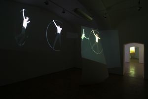 Video projections <i>Night Flight</i> by artist <i>Jasna Hribernik</i> at the <!--LINK'" 0:678-->, 2010 - 2011