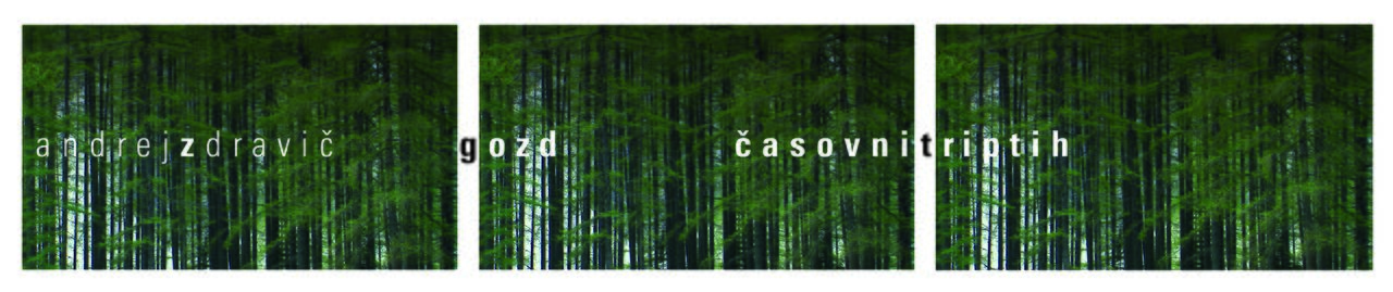 Andrej Zdravič's The Forest – Time Triptych film installation, The Larches, Antara, 2011