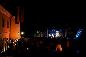 Concert at Muzejski vrtovi (museum gardens), <!--LINK'" 0:217-->, Novo mesto, 2010