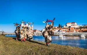 Kurents' door-to-door rounds, <!--LINK'" 0:434--> in Ptuj, 2023. Author: Stanko Vozel