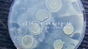 Petkova akademija [5HEK] - Bioradovednost