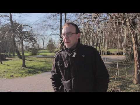 Muzika je džabe /HRUPOMENTAREC/