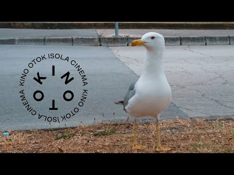 18th Kino Otok - Isola Cinema IFF I Izola, Slovenia I June 2022 I Teaser video