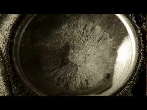 THE STROJ - METAFONIK